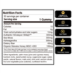 Zenith 3 in 1 Shilajit Gummies